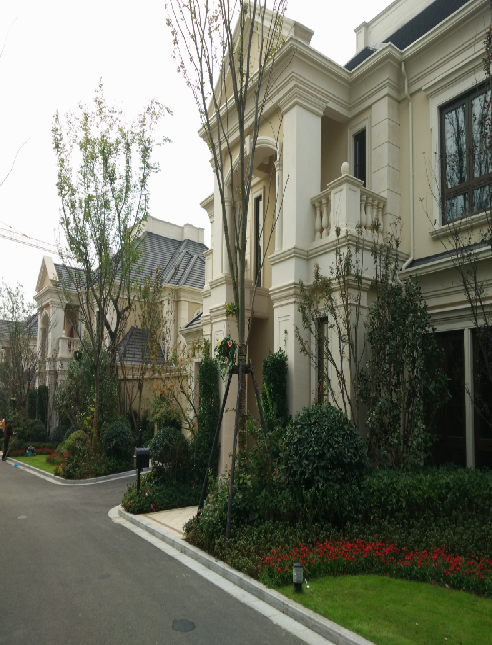 Case Study of Mapa Changsha Green Bamboo Park Project